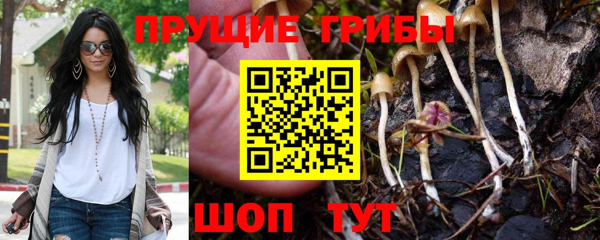 Пыть-Ях  Галлюциногенные грибы ЛСД  Вход с VPN 